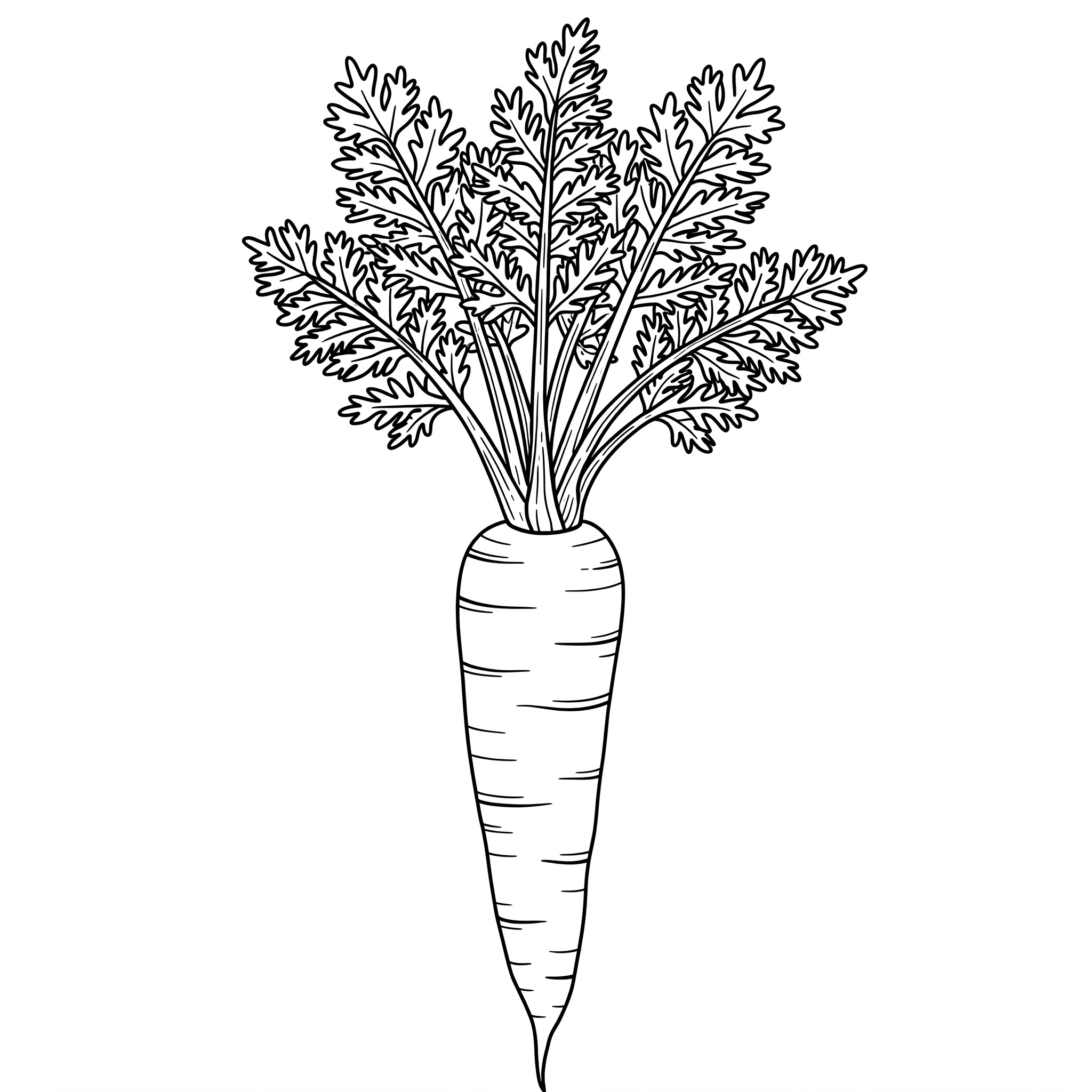 Carota da colorare thumbnail