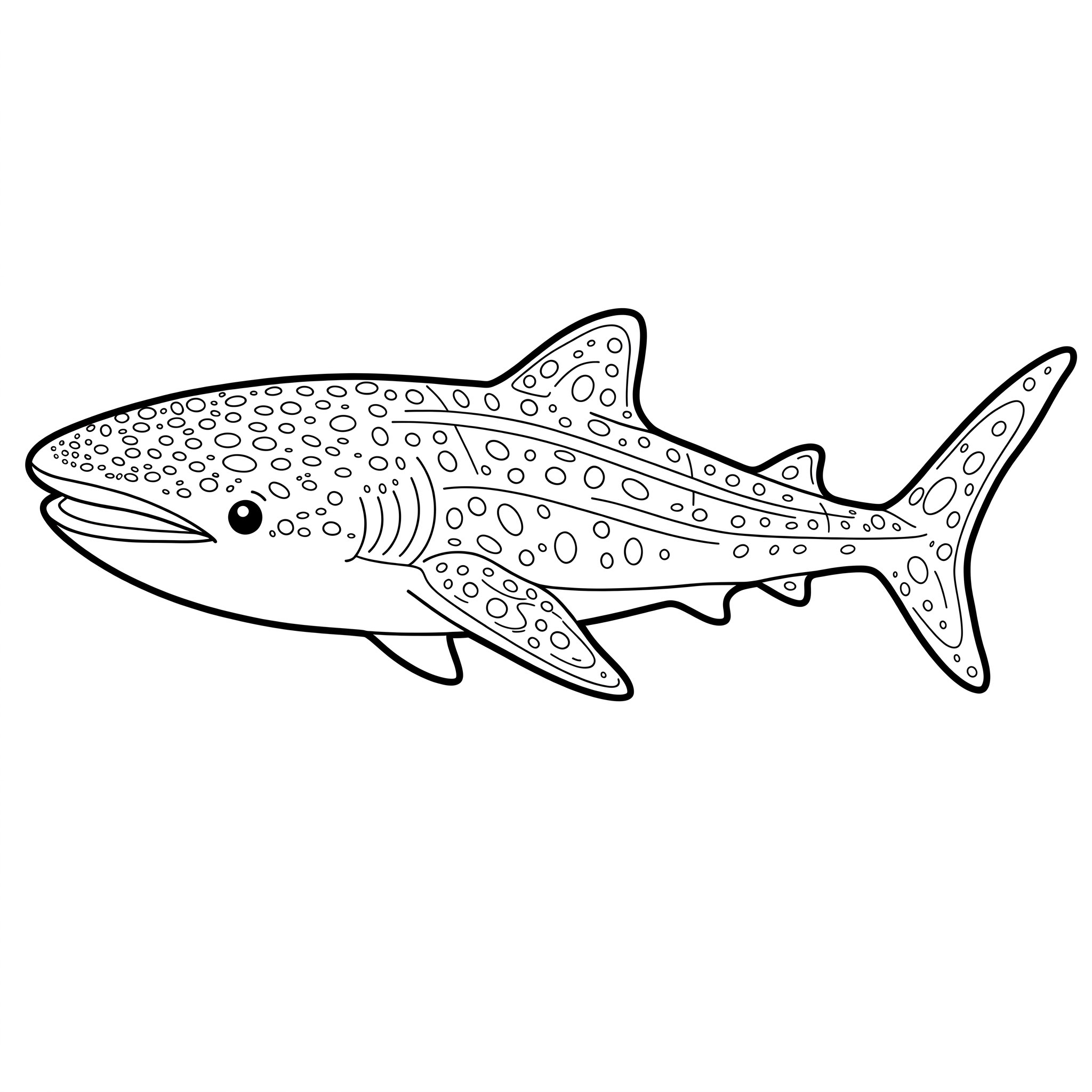 Squalo balena da colorare thumbnail