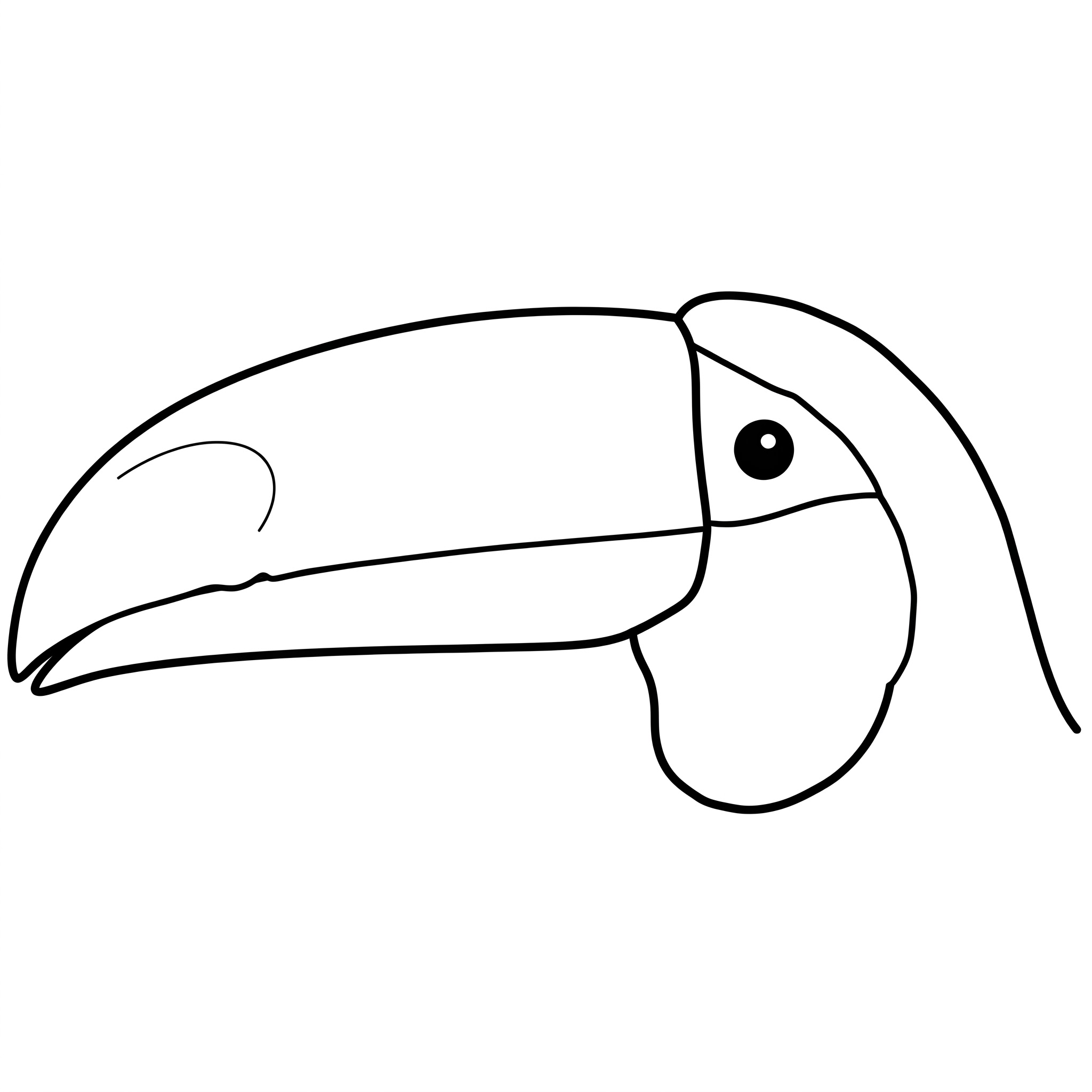 Tucano da colorare