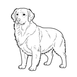 Golden retriever thumbnail