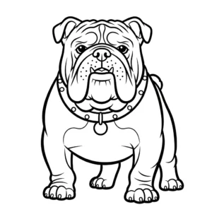 Bulldog 56 Bulldog da colorare thumbnail