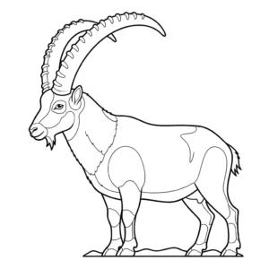 Stambecco delle Alpi thumbnail