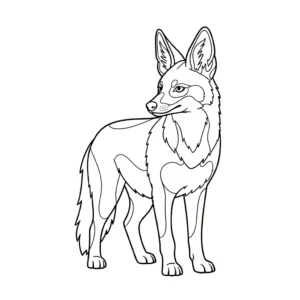 Sciacallo 31 Sciacallo da colorare thumbnail