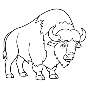 Bufalo 30 Bufalo da colorare thumbnail