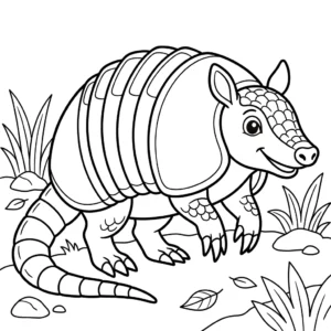 Armadillo thumbnail