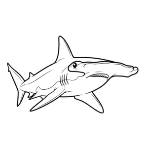 Squalo martello thumbnail